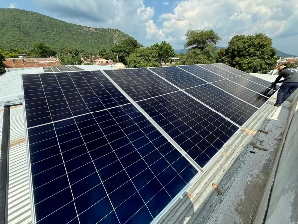 Newton | Paneles Solares